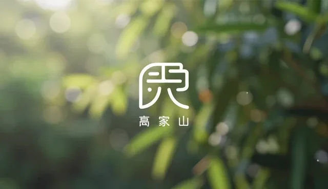 品牌策划选择依据中的性能检查要点分析